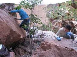 La Pintada se localiza en un cañón de la Sierra Prieta, a 50 kilómetros de la capital sonorense. INAH.GOB.MX  /