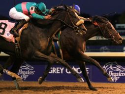 Blame ganó por una cabeza a la entonces invicta Zenyatta. REUTERS  /