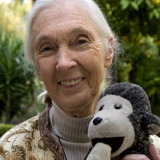 'El viaje de Jane' se estrena en Europa