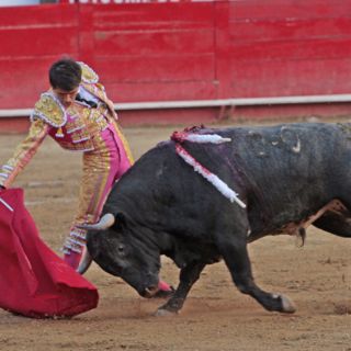 De los toros con verdad, por Francisco Baruqui