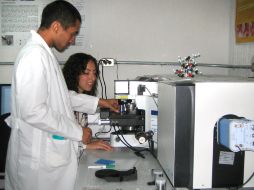 Los expertos dieron un gran paso para hallar la cura de la esquistosomiasis. EFE  /