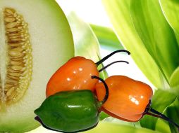 La cocina mexicana es una de las más ricas del mundo. Agencia ID  /