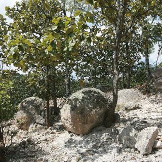 México es primer lugar en reservas naturales