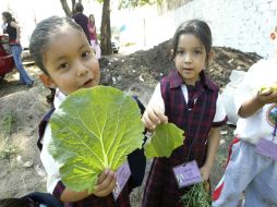 Al generar alimentos y otros productos agropecuarios incidirán en un mejor rendimiento del ingreso familiar. ARCHIVO  /