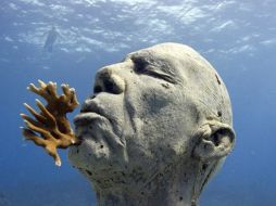 La muestra tiene que ser visitada mediante la práctica del buceo o snorquel. CONACULTA.GOB  /