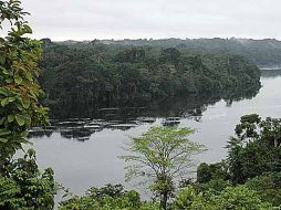 Confían en que se tomen decisiones importantes y positivas en la próxima reunión en Cancún. EFE  /