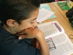 Alumnos de tercero y cuarto grado de primaria, serán el blanco de la primera fase del programa. EL INFORMADOR  /