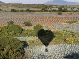 Vía aérea desde uno de los globos del Festival del Globo en Amatitán. ARCHIVO  /