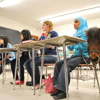 Una joven invidente va a la universidad en pony