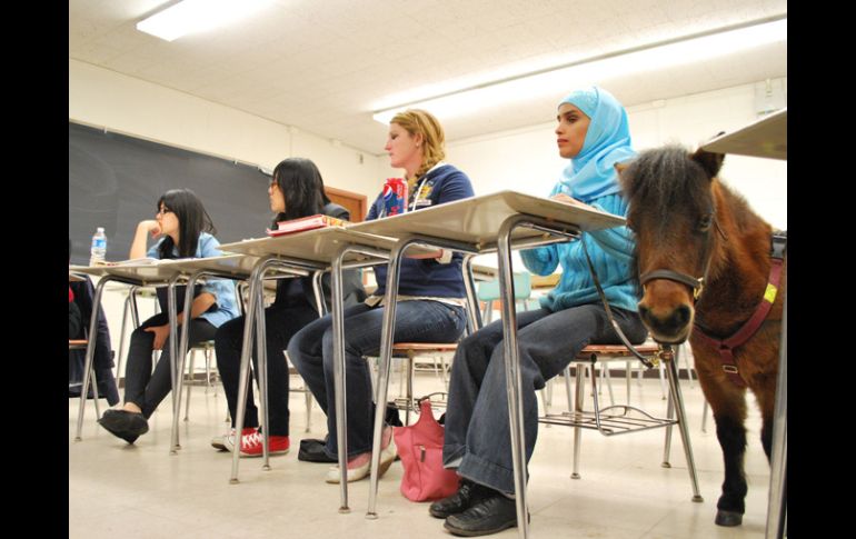 Mona Ramouni y su pony Cali en una de sus clases en la Universidad Estatal de Michigan. AFP  /
