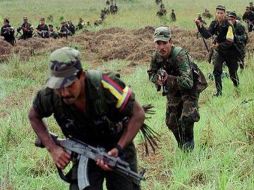 Las Fuerzas armadas revolucionarias de Colombia, (FARC) pidieron a Dilma Rousseff que intermedie para pacificar a Colombia. ARCHIVO  /