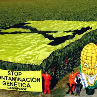 Más de la mitad de los europeos se opone a los alimentos con transgénicos