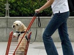 Sólo una cuarta parte de  la población están registrados. AFP  /