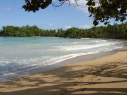 Alejarse del bullicio y convivir de cerca con la naturaleza, son opciones que ofrecen las playas de Mazatlán. ESPECIAL  /