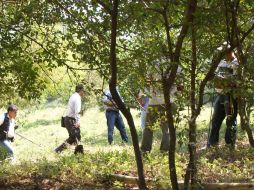 Forenses e investigadores retoman las labores de campo en la huerta de cocos, en Tunzingo. EL UNIVERSAL  /
