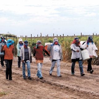 Recortan al campo cuatro mil 400 MDP