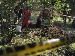 Forenses extraen los cuerpos de la fosa. AP  /