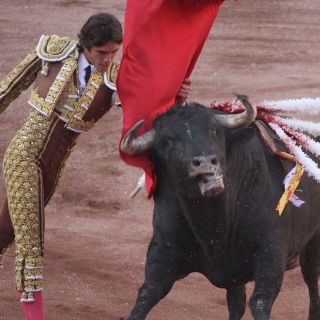 Anuncian a Ochoa, Castella y Macías en domingo para Plaza México