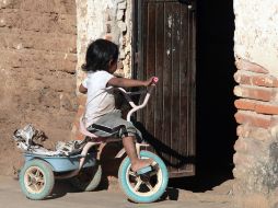 Los problemas principales de los niños en América Latina son la explotación y el trabajo infantil, según la organización. EL INFORMADOR  /