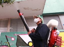 La SSJ continúa con acciones de patio limpio y el control entomológico. ARCHIVO  /