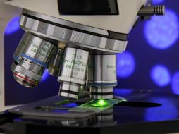 Las bacterias favorecen a que las amibas adquieran un comportamiento agresivo. ESPECIAL  /