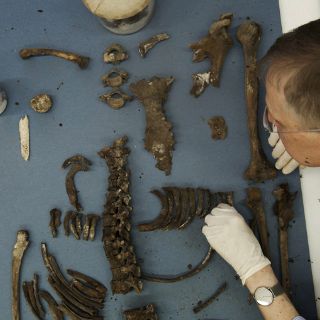 Descubren restos de ocho personas en la tumba de Tycho Brahe