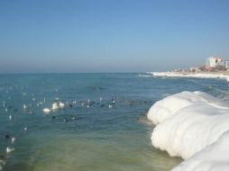 El Caspio no tiene salida al mar y a pesar de eso contiene agua salada. ESPECIAL  /