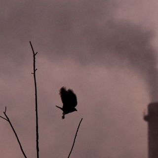 Crisis tuvo poco impacto sobre emisiones mundiales de gas carbónico