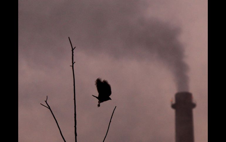 Este año, las emisiones de gases contaminantes aumentarán en mas de un 3 por ciento. EFE  /