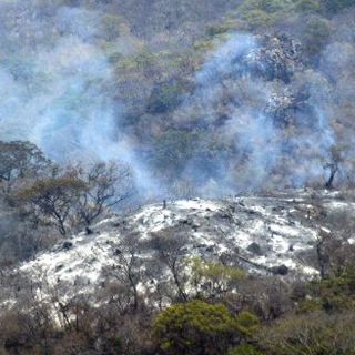 La OMM afirma que los gases de invernadero alcanza grandes niveles