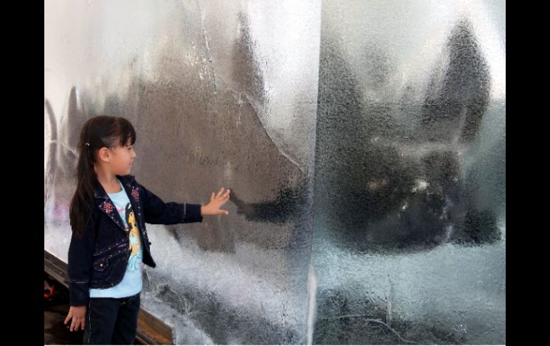 En el Jardín del Santuario de Guadalupe se instaló al perro Xolo dentro de un bloque de hielo. A. CAMACHO  /