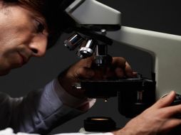 Otro reto que la ciencia y la tecnología deben resolver urgentemente es lo relativo al aprovechamiento de energías. AGENCIA CONACYT  /