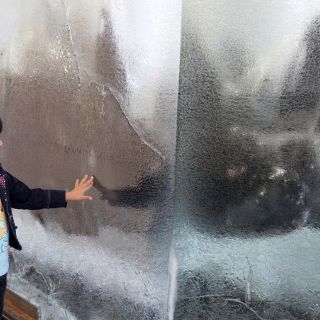 Guadalajara espera a los Gigantes