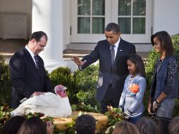 Obama perdona la vida a los pavos Apple y Cider, ambos de 21 semanas y 20 kilos, como un gesto previo al Día de Acción de Gracias. AP  /