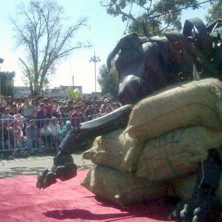 'Xolo' va en busca de la Pequeña gigante