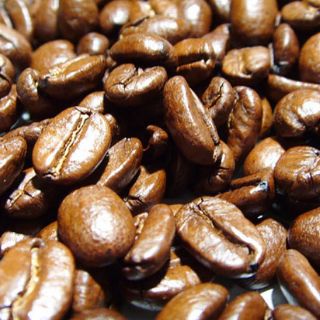 Nestlé sembrará cinco millones de cafetales en México