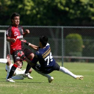 Zorros finalistas en la Sub-17