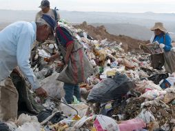 El parque recuperará todos los materiales que, por su costo, no se pueden reciclar (bolsas, cartón y papel). ARCHIVO  /