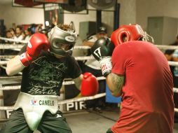 'Canelo' Álvarez hizo una fuerte sesión de trabajo sobre el ring, apoyado por dos boxeadores. M. FREYRÍA  /