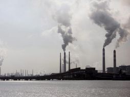 Se tratarán temas como la reforestación, adaptación, financiación y transferencia de tecnologías. EFE  /