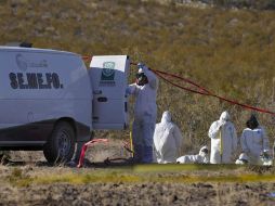 Peritos forenses levantan los 18 cuerpos de las fosas clandestinas ubicadas en el rancho ''El Capricho''. AP  /