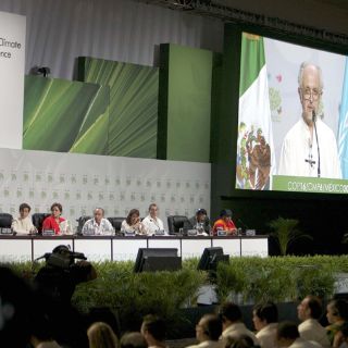 Acciones contra la deforestación reducirían 80% extinción de especies