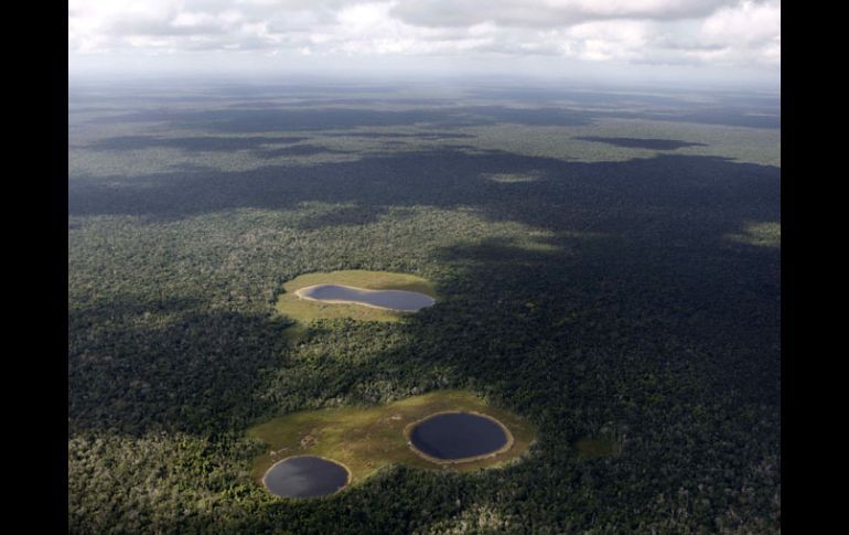 México mostrará en la reunión climática de Cancún sus experiencias en conservación de ecosistemas. AP  /