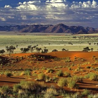 Aumentan 57.7 presupuesto de Conafor