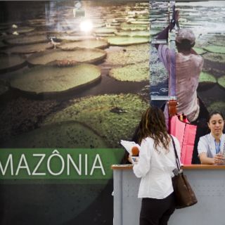 Greenpeace acusa a México de incongruente en tema climático