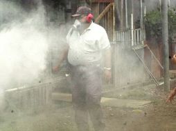 Se ha implementado el programa de descacharrización entre los diferentes sectores de la población en general y las escuelas. ARCHIVO  /