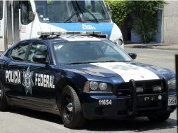 El Ayuntamiento de Guadalajara pretende adquirir al menos 360 nuevas patrullas. M. FREYRIA  /