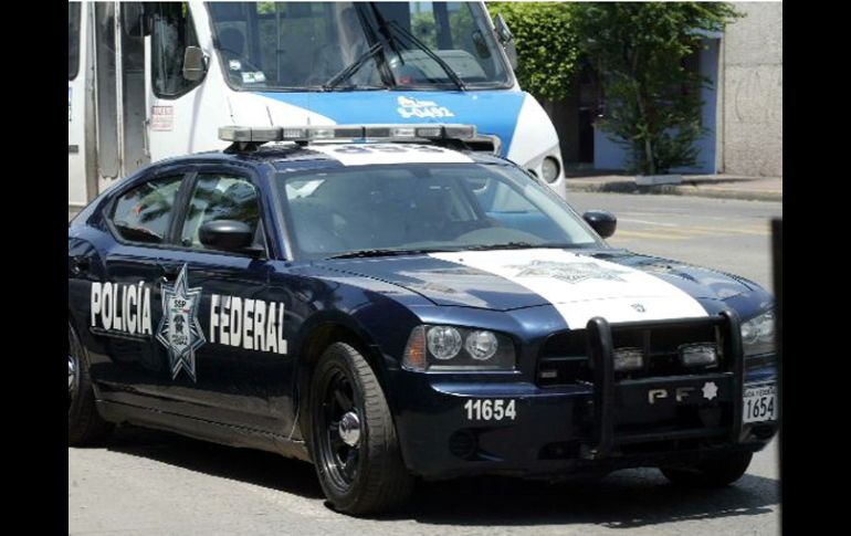El Ayuntamiento de Guadalajara pretende adquirir al menos 360 nuevas patrullas. M. FREYRIA  /