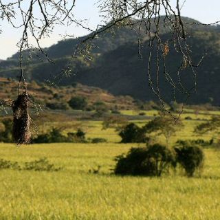 Científicos y ecologistas piden atención política sobre situación de montañas