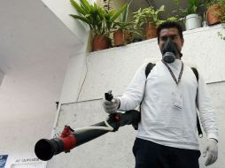 La disminución en los casos de dengue ha disminuido. ARCHIVO  /